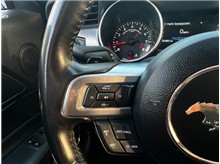 Vehicle Thumb #19