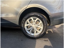 Vehicle Thumb #11