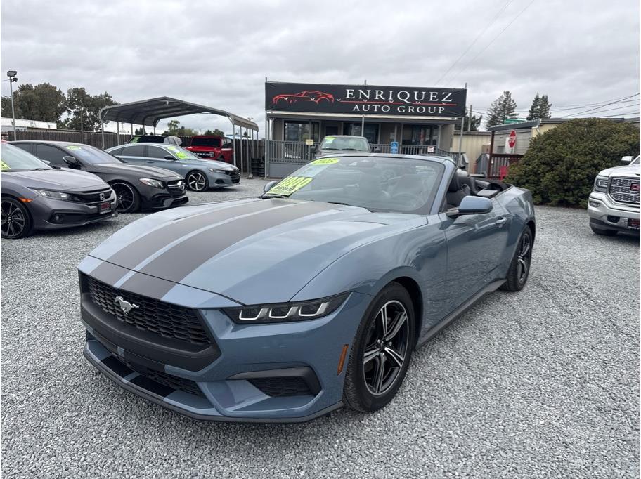 2025 Ford Mustang from Enriquez Auto Group