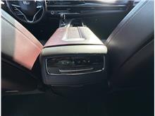 Vehicle Thumb #16
