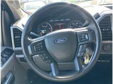 Vehicle Thumb #16