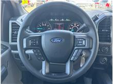 Vehicle Thumb #16