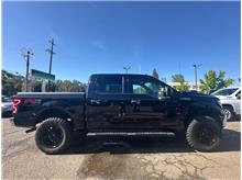 Vehicle Thumb #9
