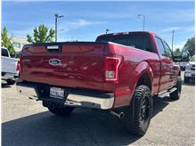 Vehicle Thumb #8
