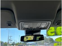 Vehicle Thumb #18