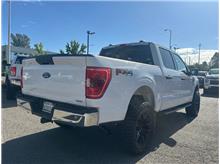 Vehicle Thumb #8