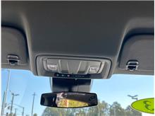 Vehicle Thumb #19