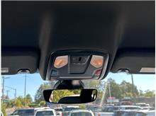 Vehicle Thumb #18