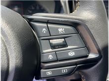 Vehicle Thumb #17