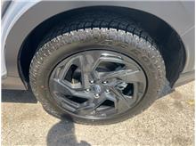 Vehicle Thumb #22