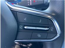 Vehicle Thumb #16