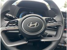 Vehicle Thumb #16