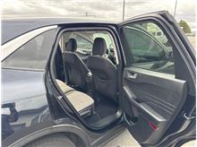 Vehicle Thumb #11
